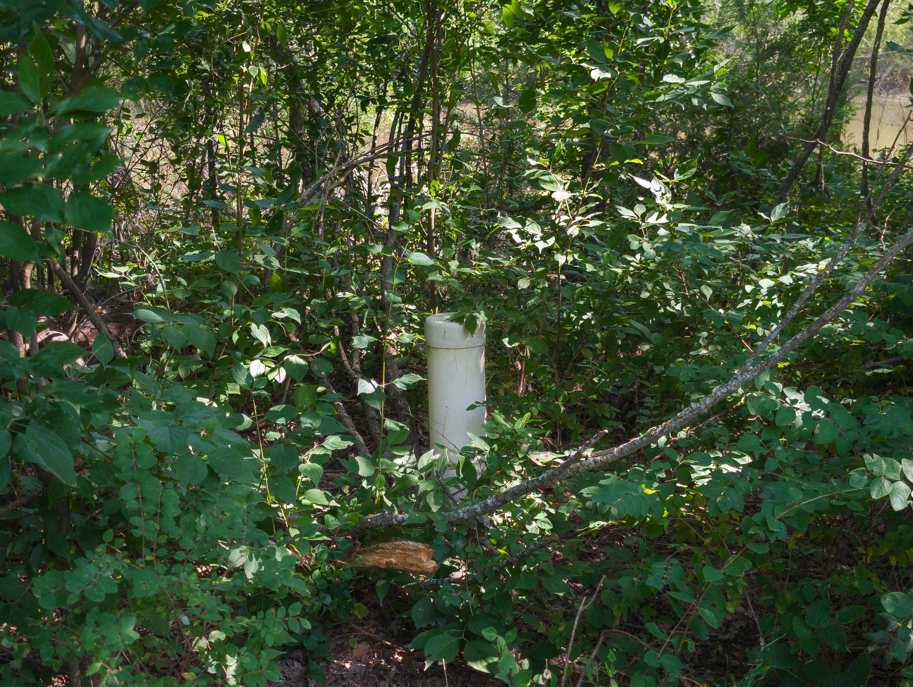 4931 161st Rd Property Photo 5