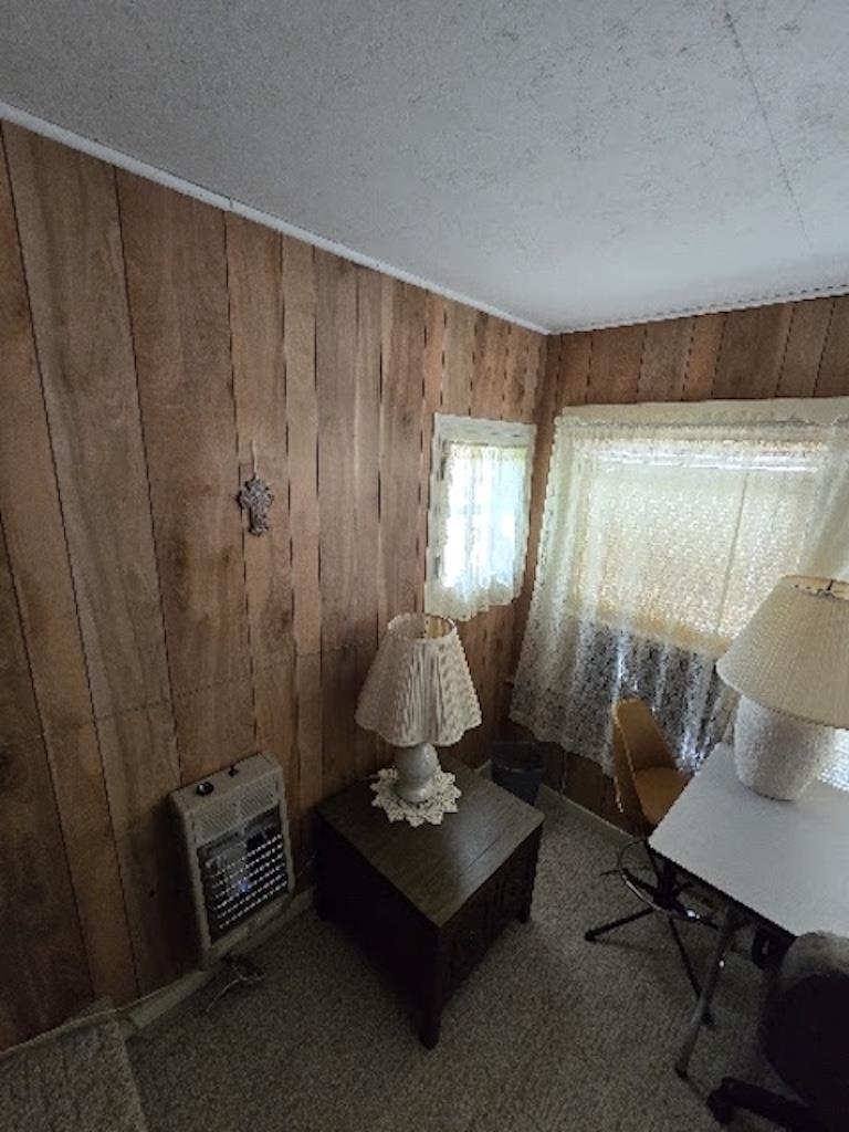 115 E 2nd Property Photo 23