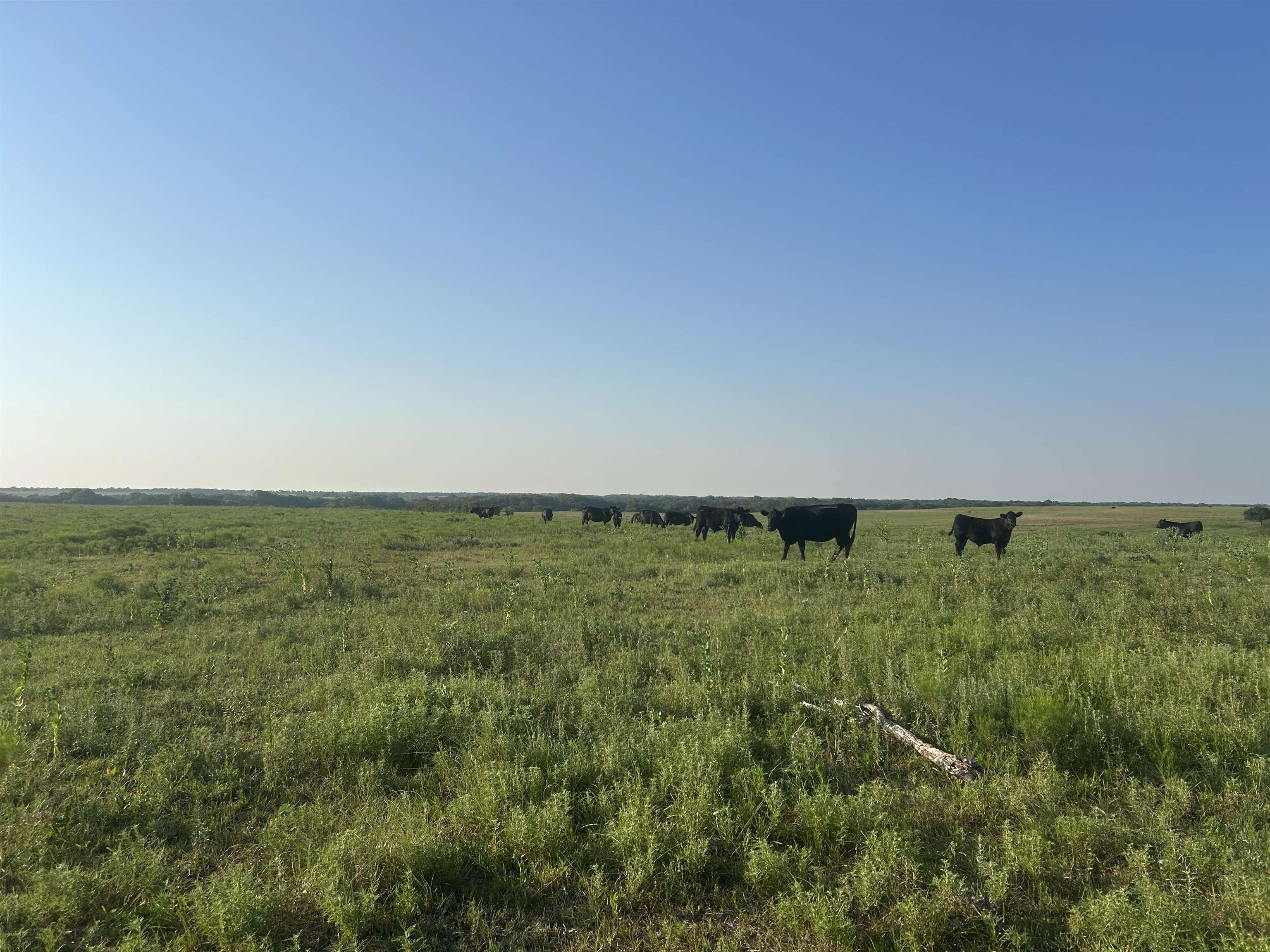 72nd Property Photo 8