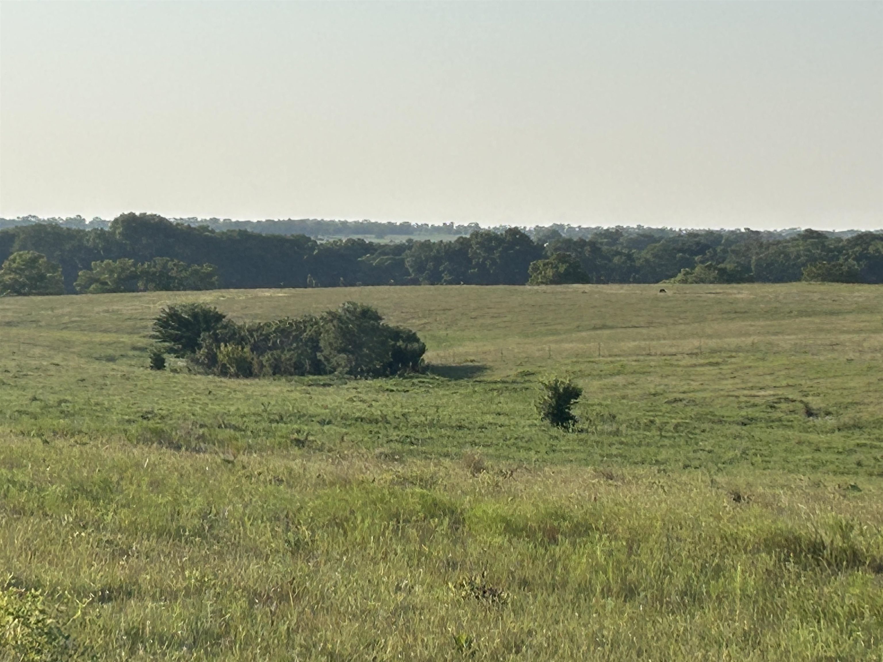 72nd Property Photo 11