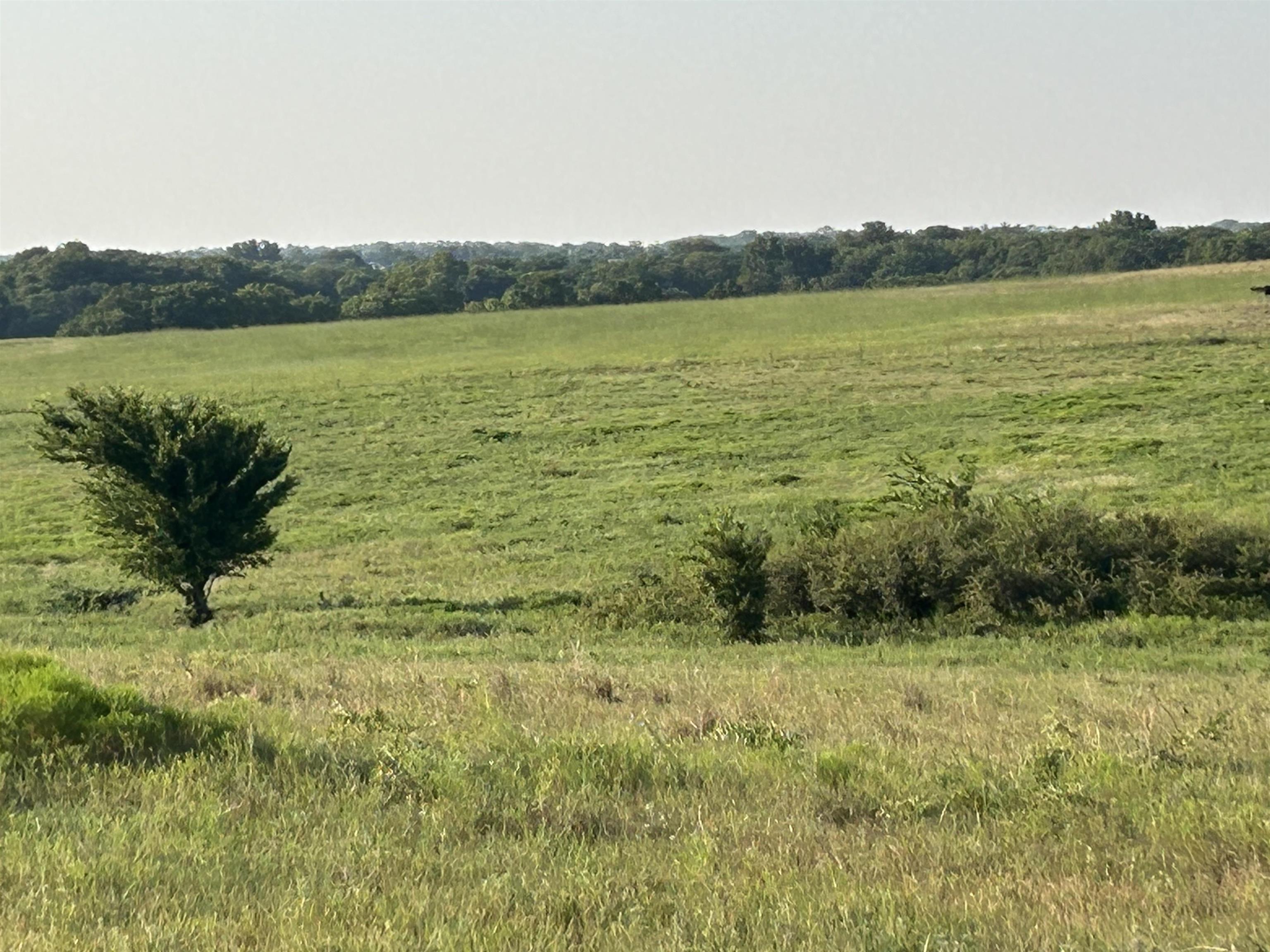72nd Property Photo 12
