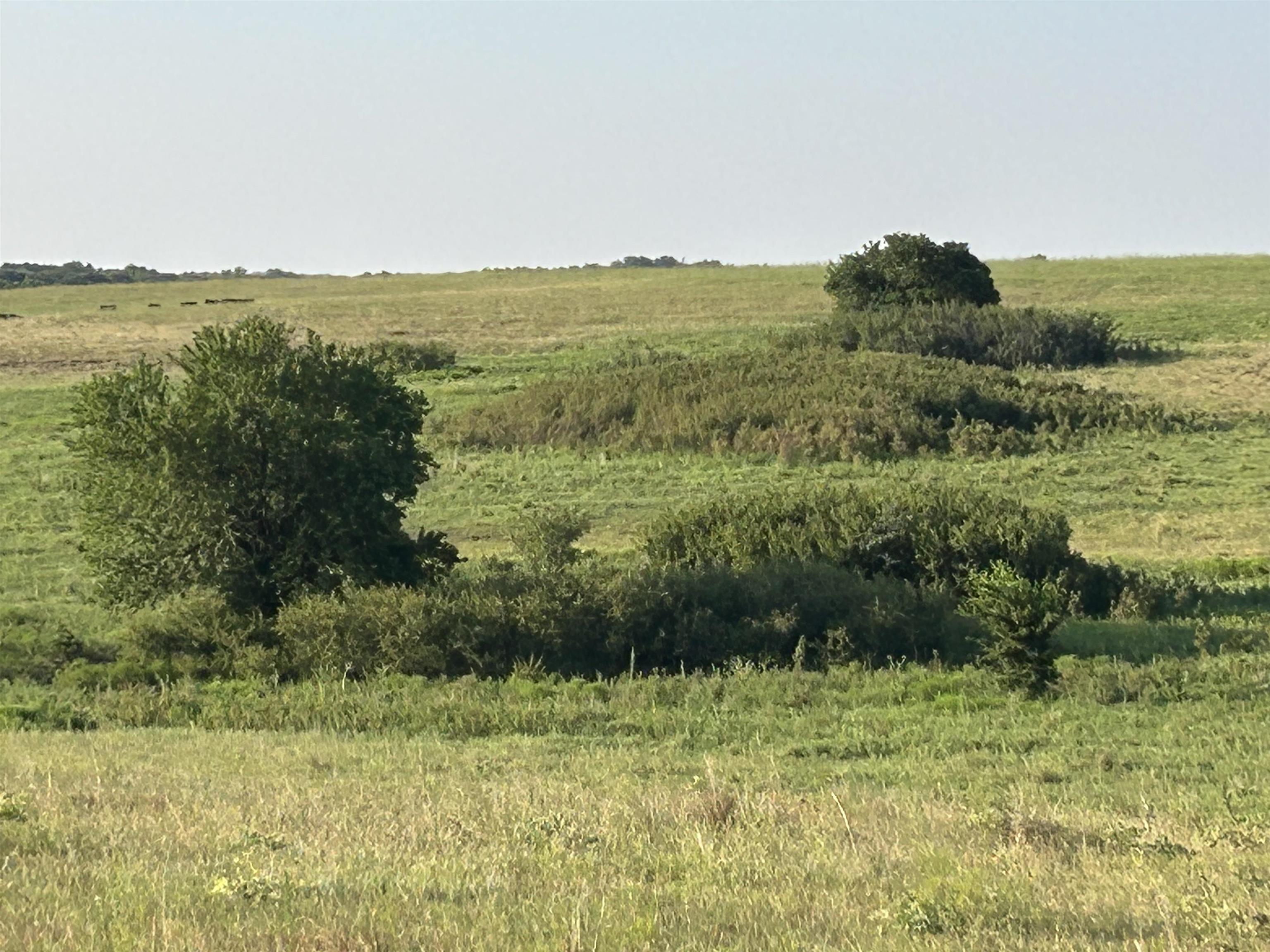 72nd Property Photo 13