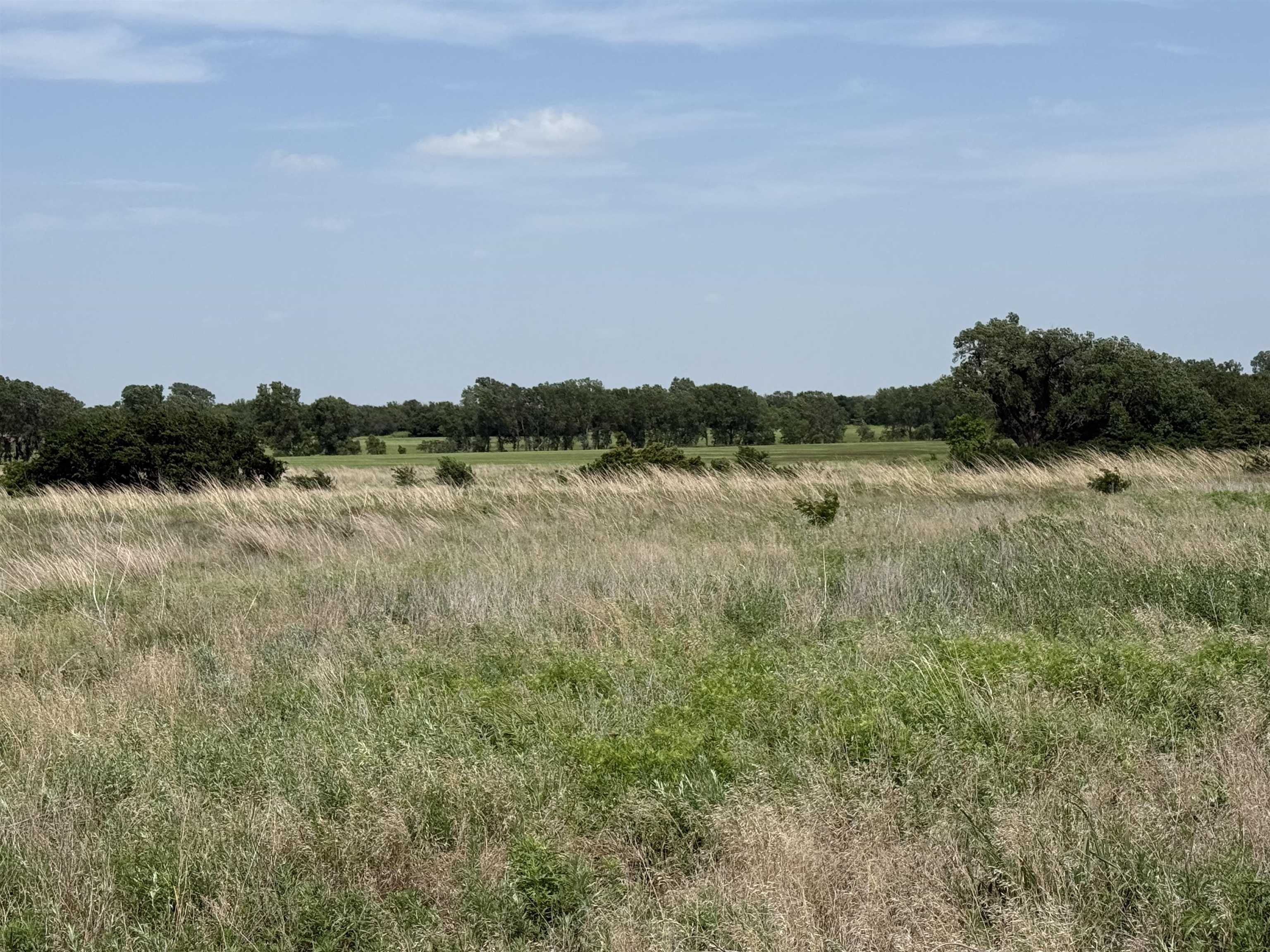 Argonia Road Property Photo 9