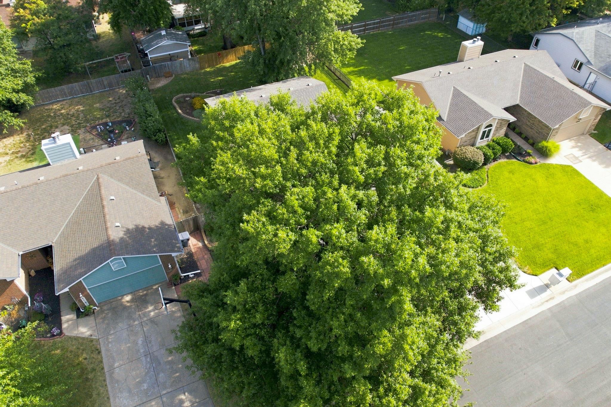 10810 W Rolling Hills Property Photo 3