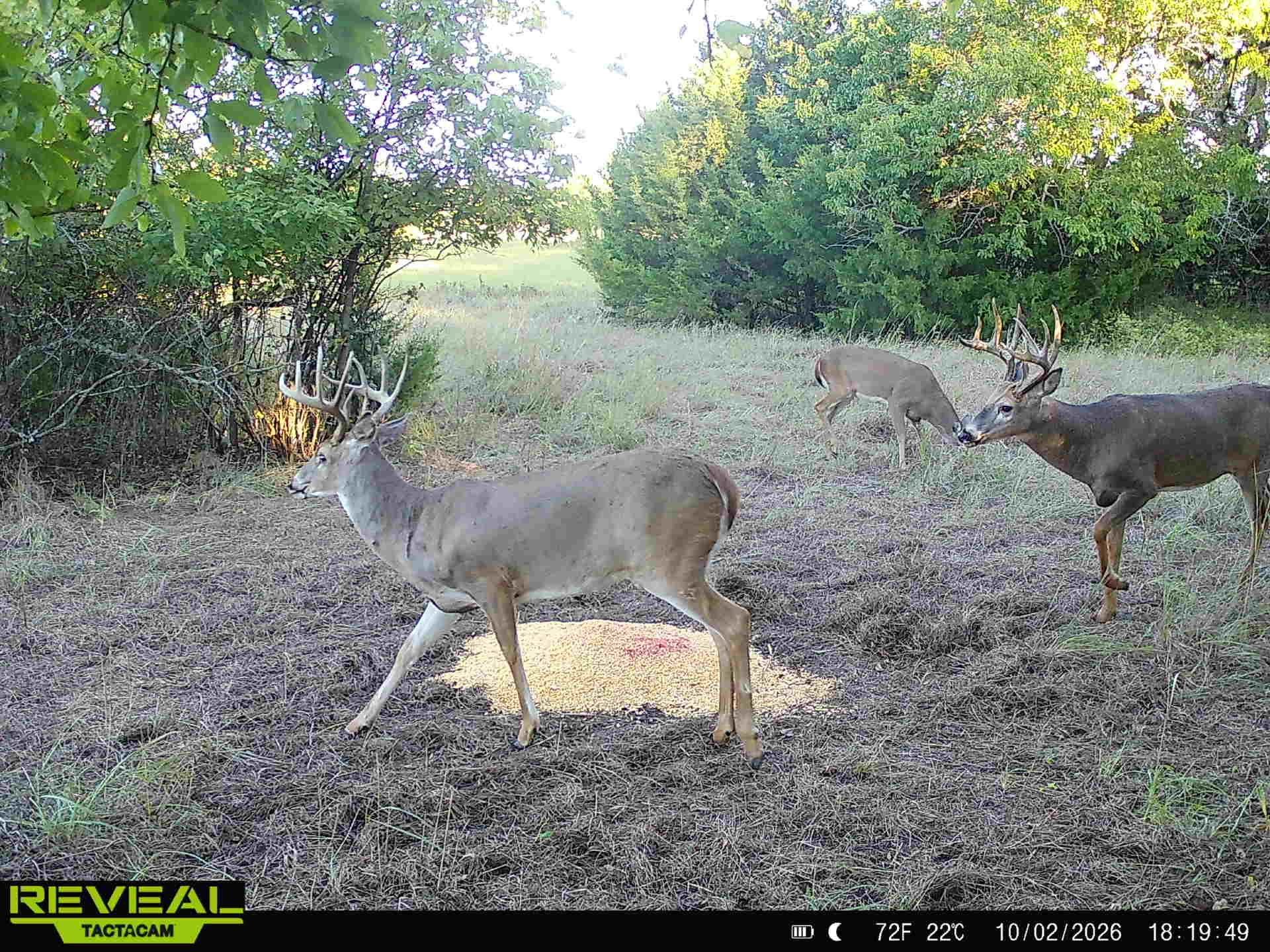 00000 201st Rd Property Photo 2