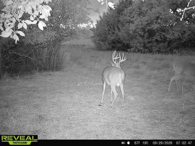 00000 201st Rd Property Photo 5