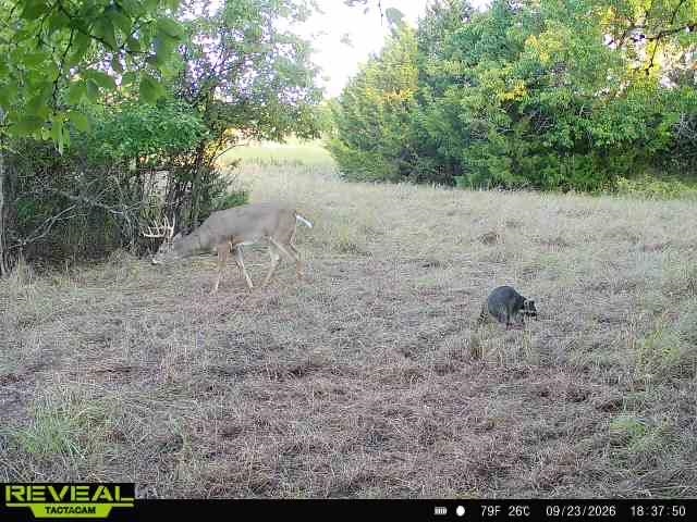 00000 201st Rd Property Photo 17