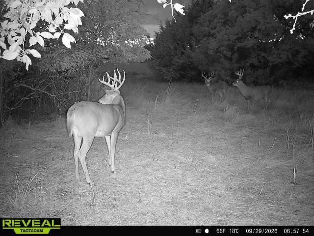 00000 201st Rd Property Photo 26