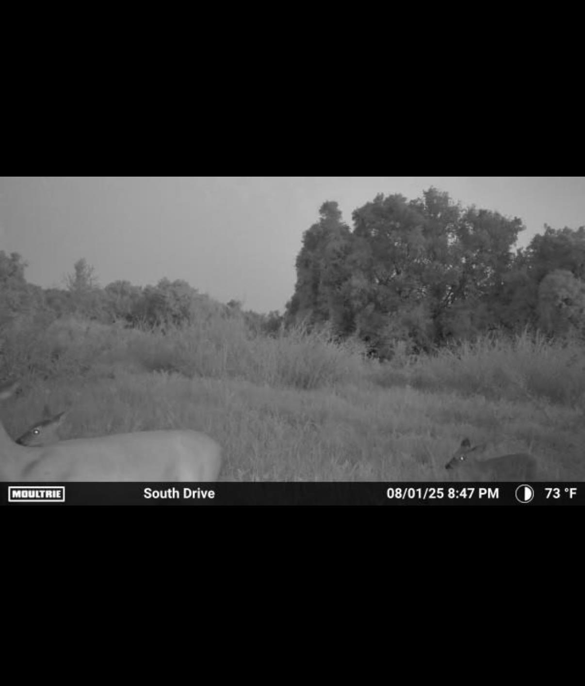 19324 81st Rd Property Photo 7