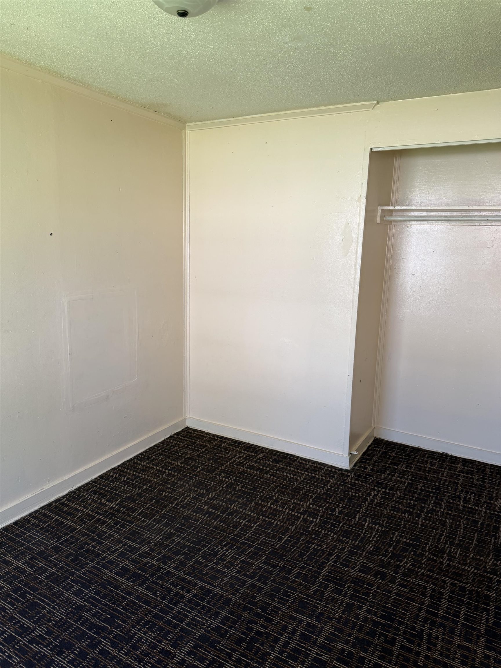 4311 Boston Property Photo 11