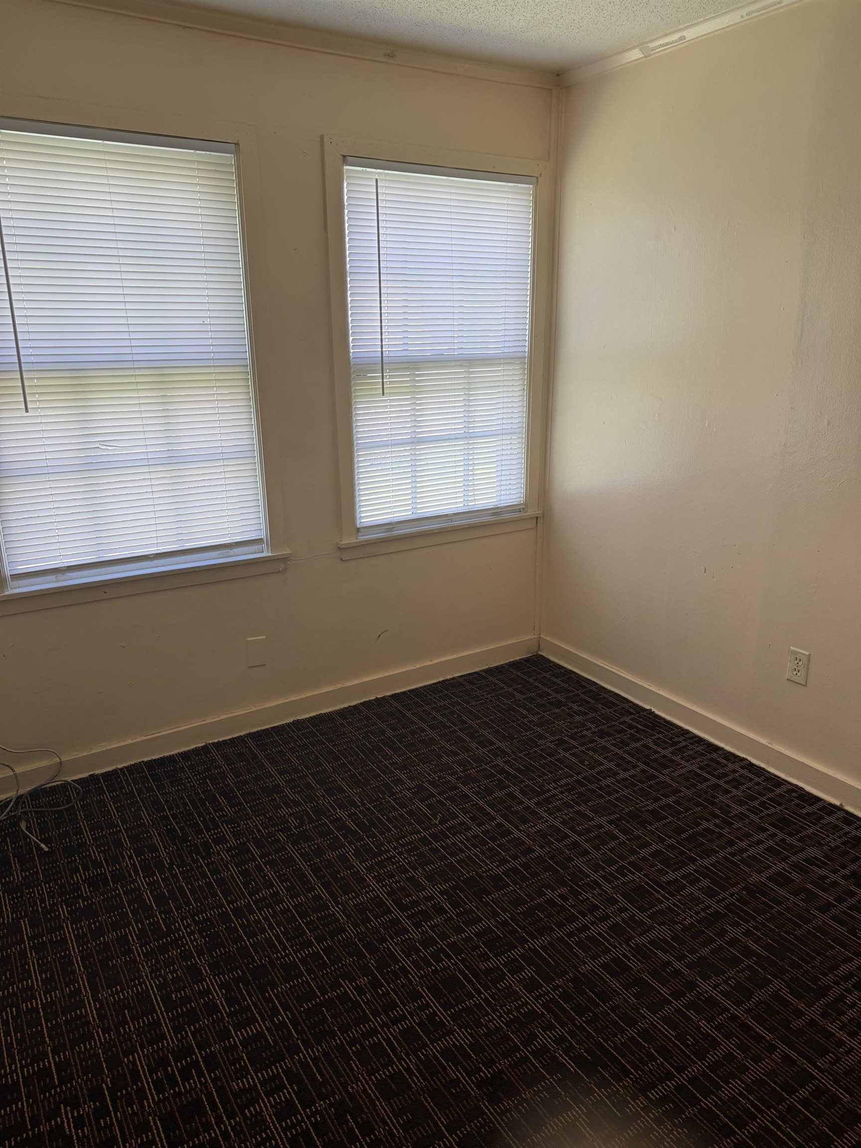 4311 Boston Property Photo 13
