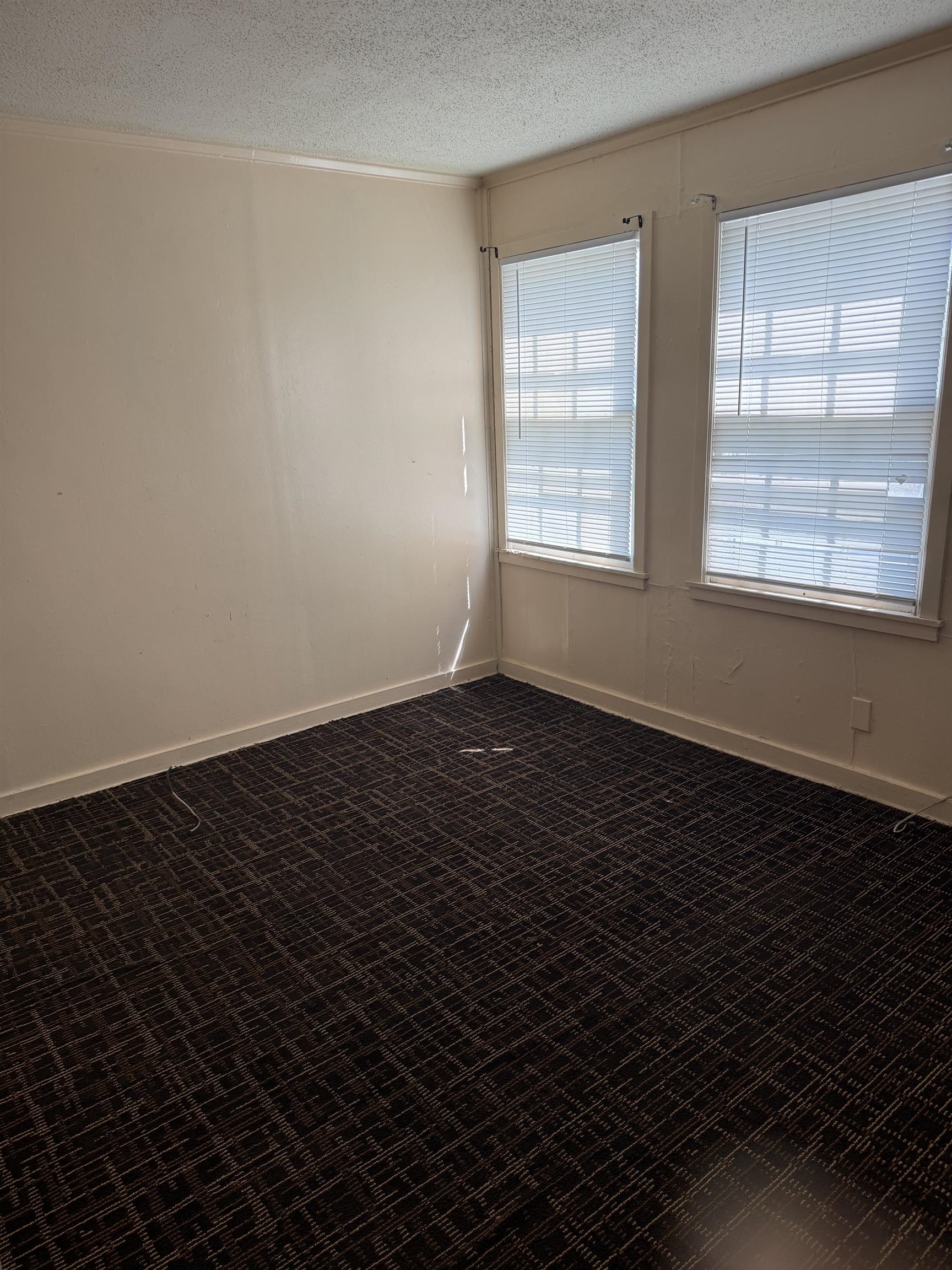 4311 Boston Property Photo 14