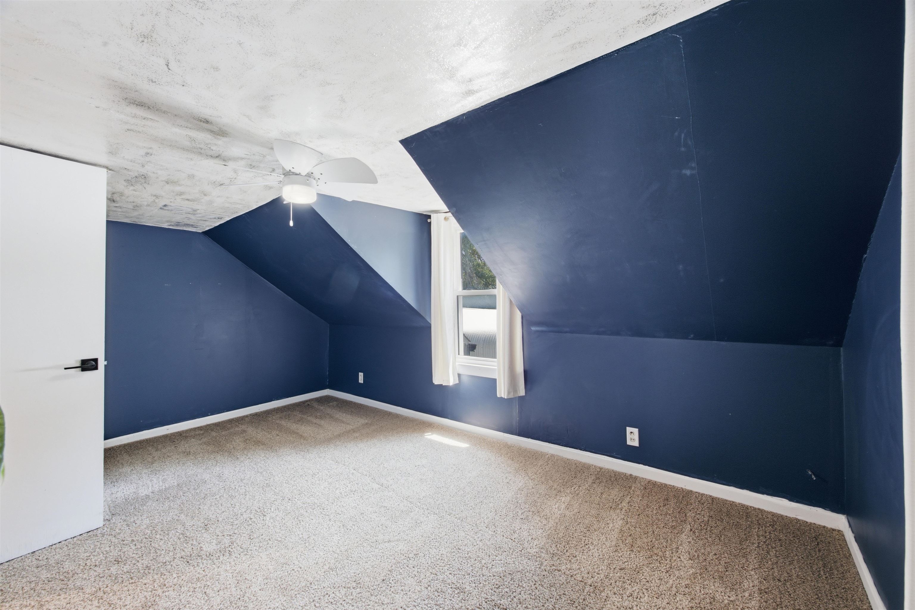 412 N Olive Property Photo 20