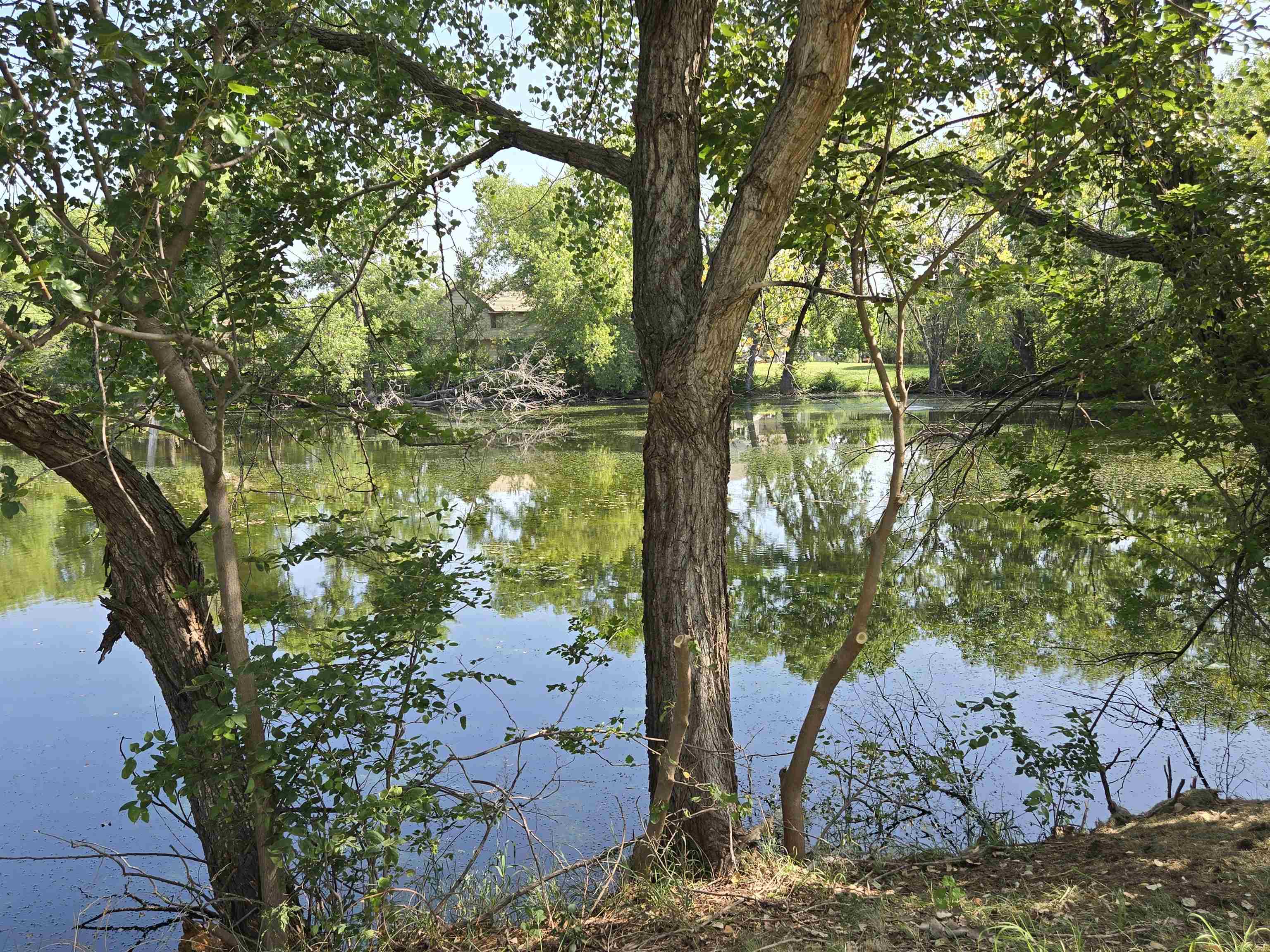 14302 E Twinlake Dr Property Photo 7