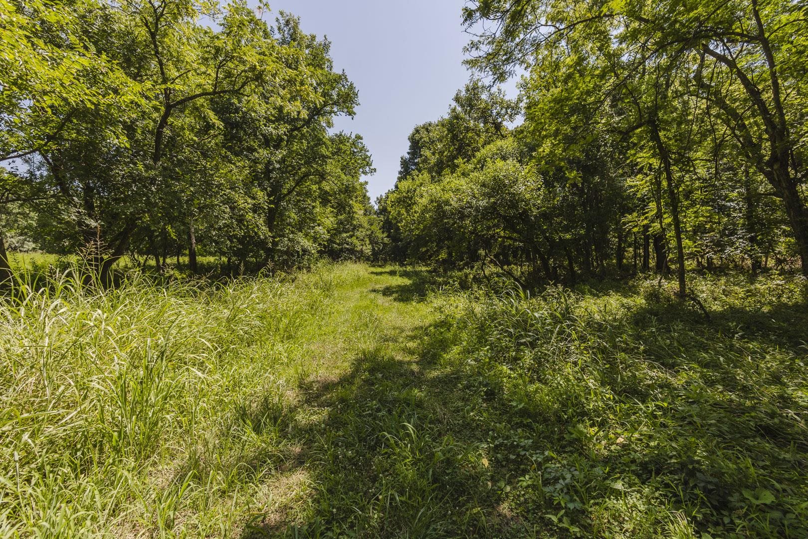 1549a Y Property Photo 31