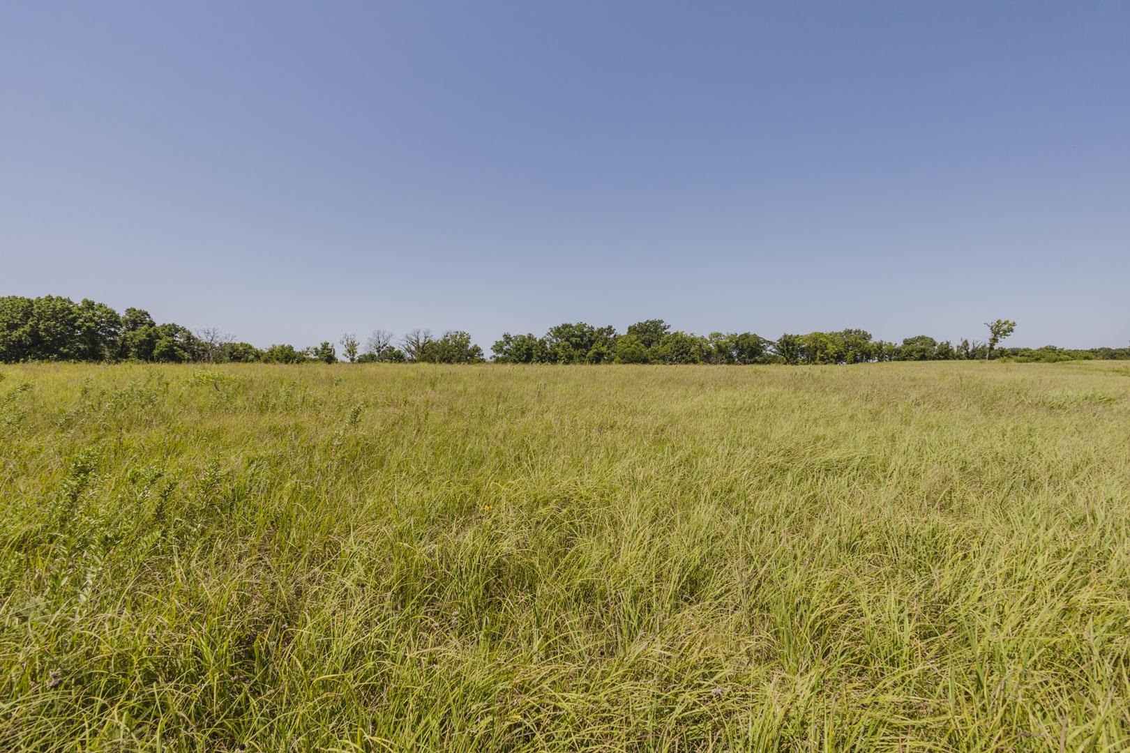 1549a Y Property Photo 32