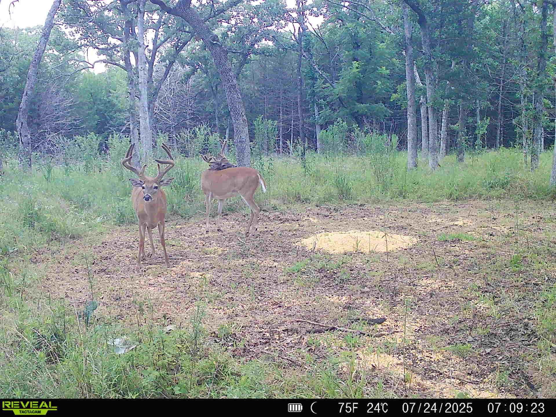 2028 Kansas Property Photo 3