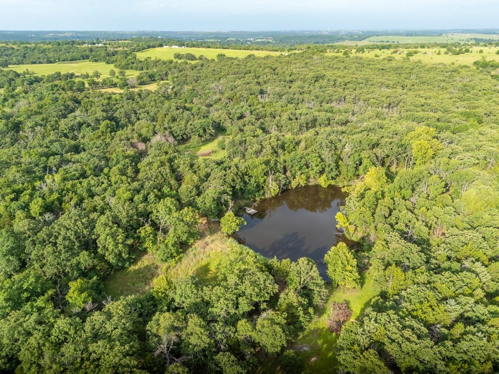 2028 Kansas Property Photo 4