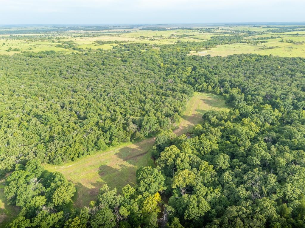 2028 Kansas Property Photo 9