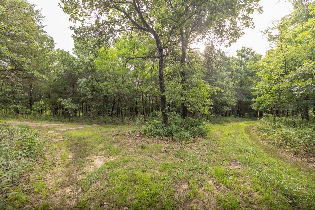 2028 Kansas Property Photo 15