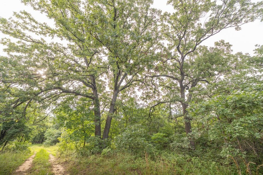 2028 Kansas Property Photo 18