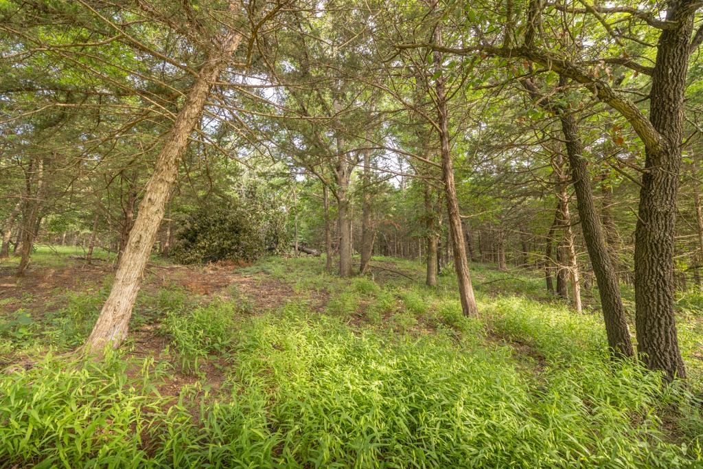 2028 Kansas Property Photo 34