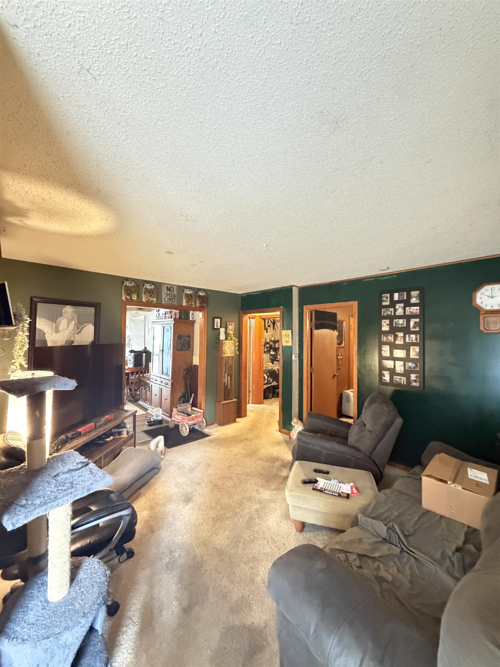 2228 W Caroline Ave Property Photo 7