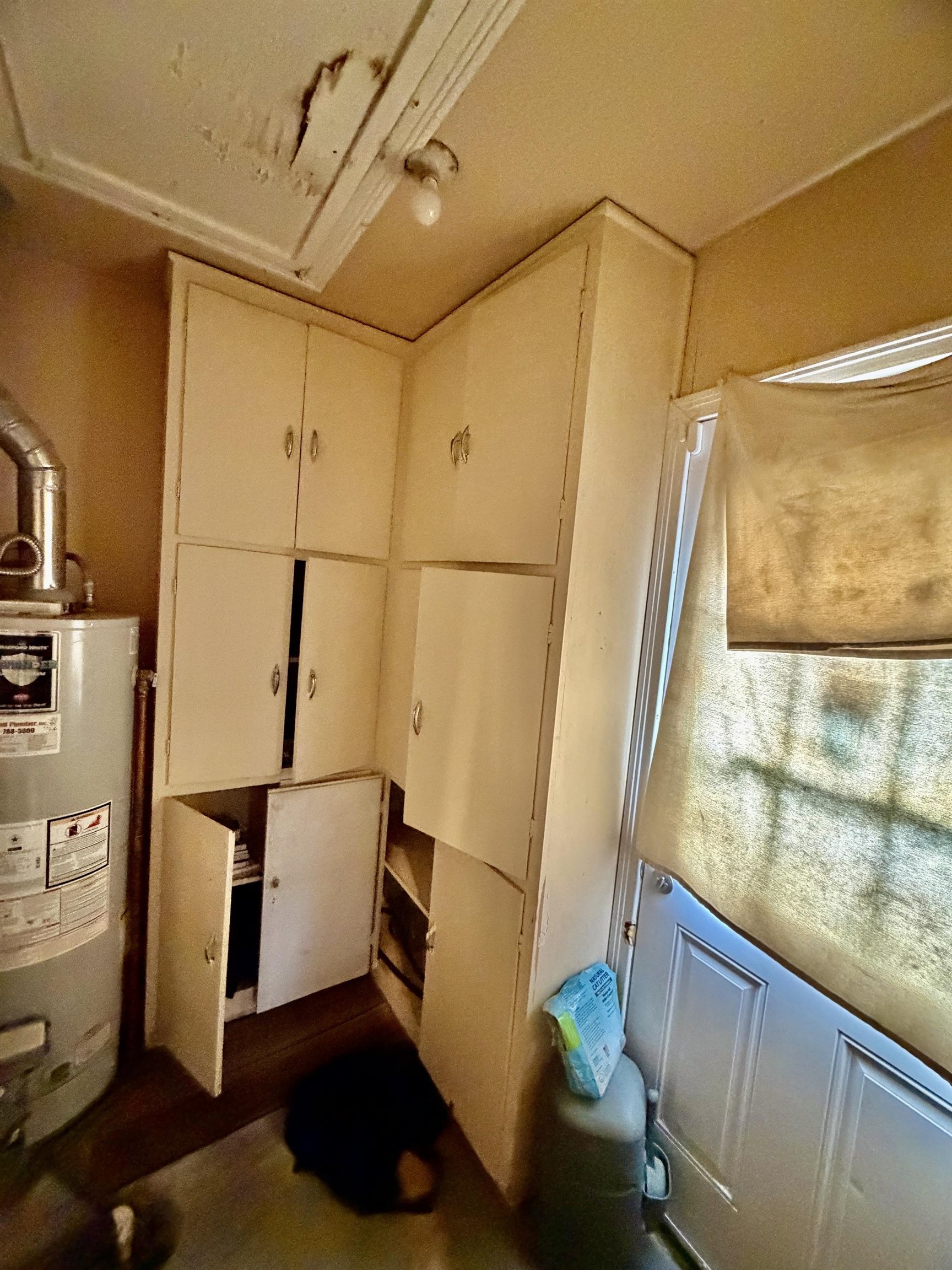2228 W Caroline Ave Property Photo 15