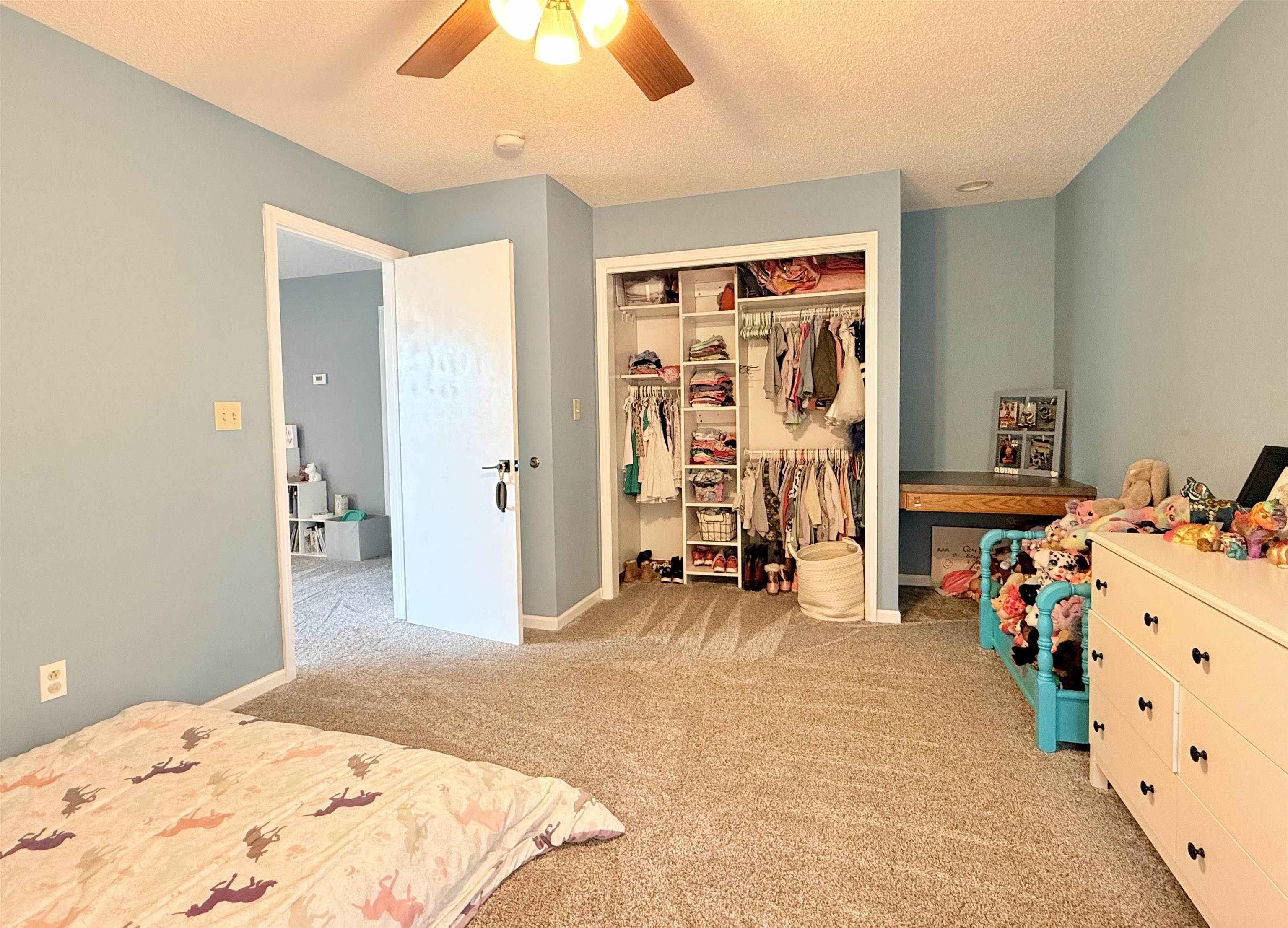 515 N Locust St. Property Photo 18
