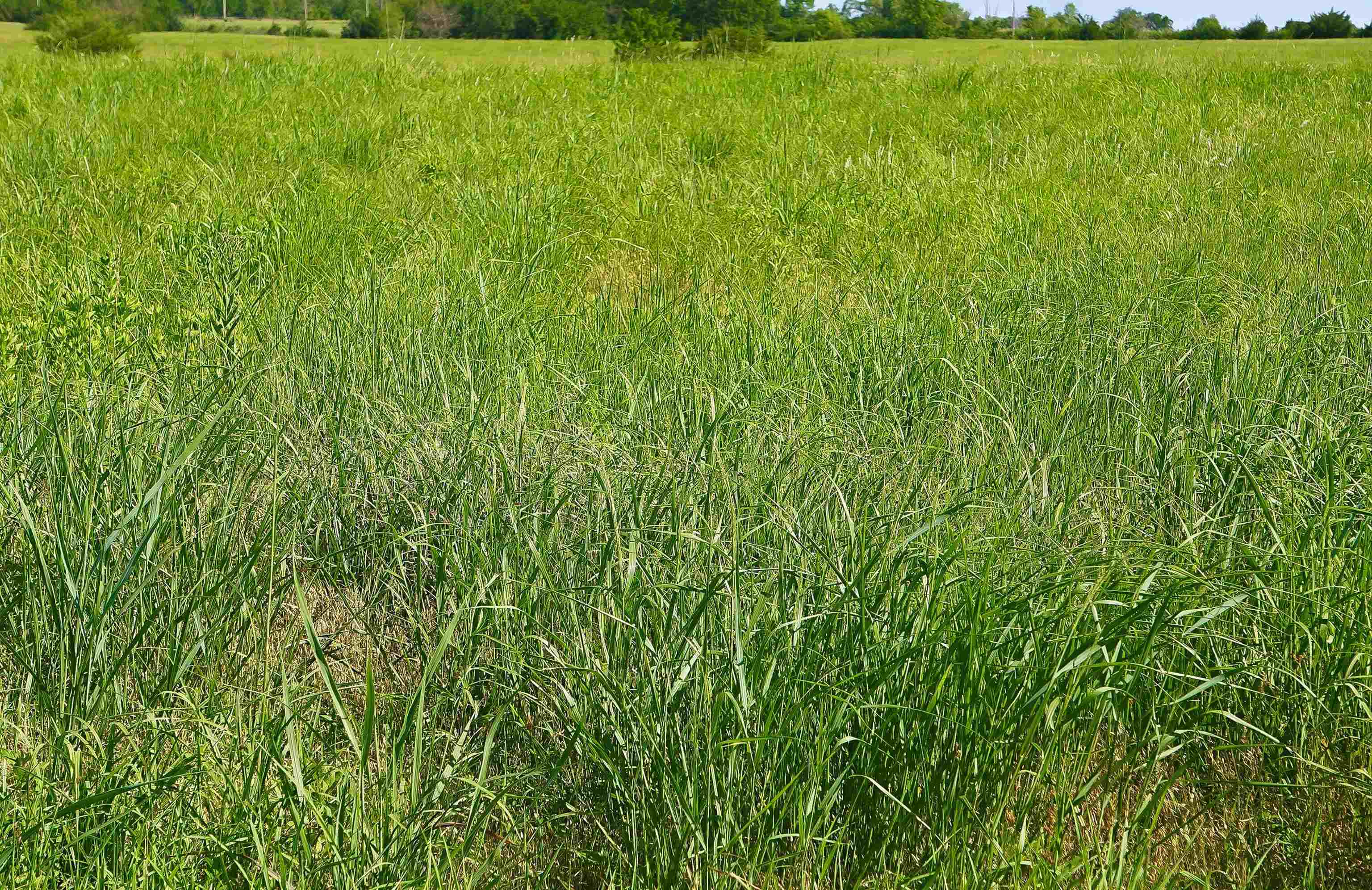 000 51st Road Property Photo 8