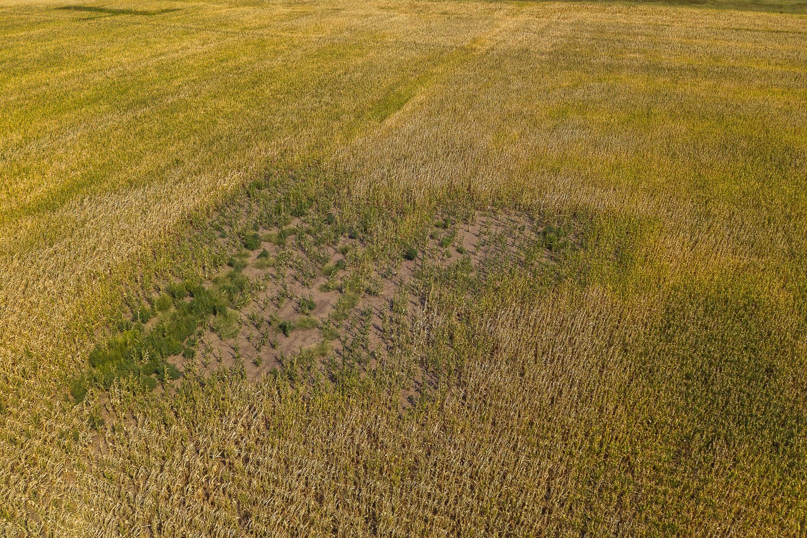 0000 S Gypsum Valley Property Photo 13