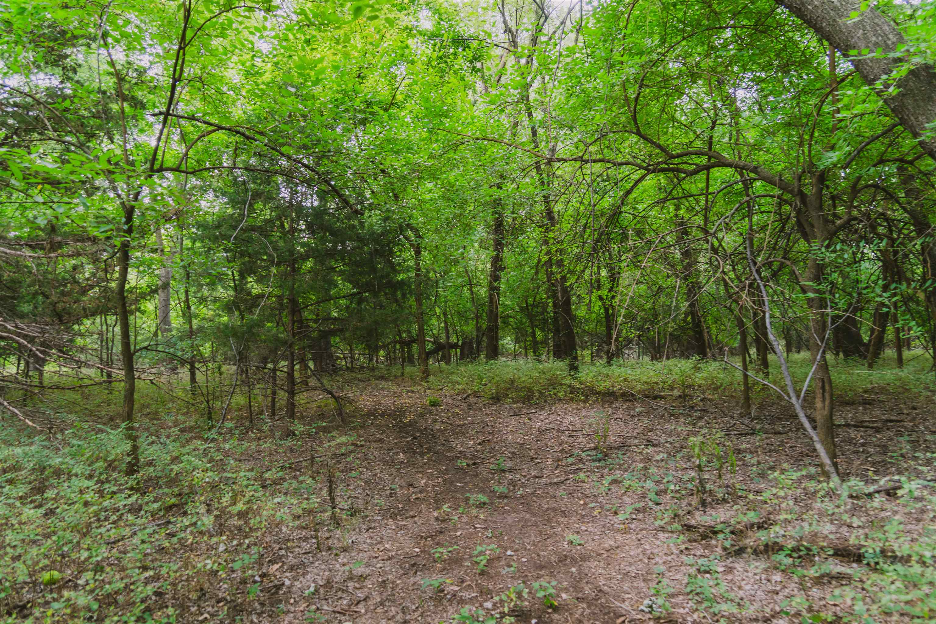 2460 27th Rd Property Photo 15