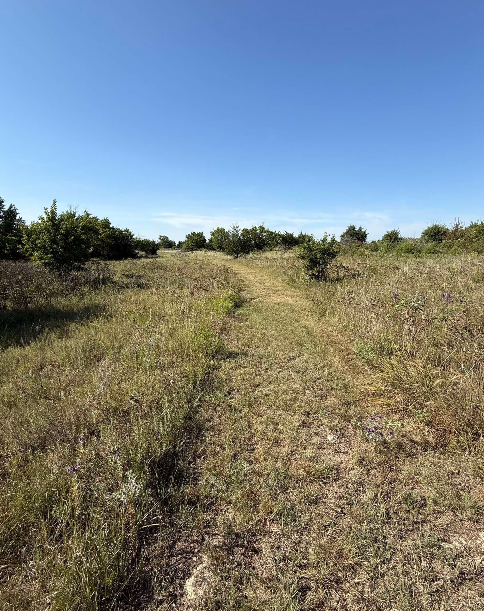 0 Sw Purity Springs Rd. Property Photo 4