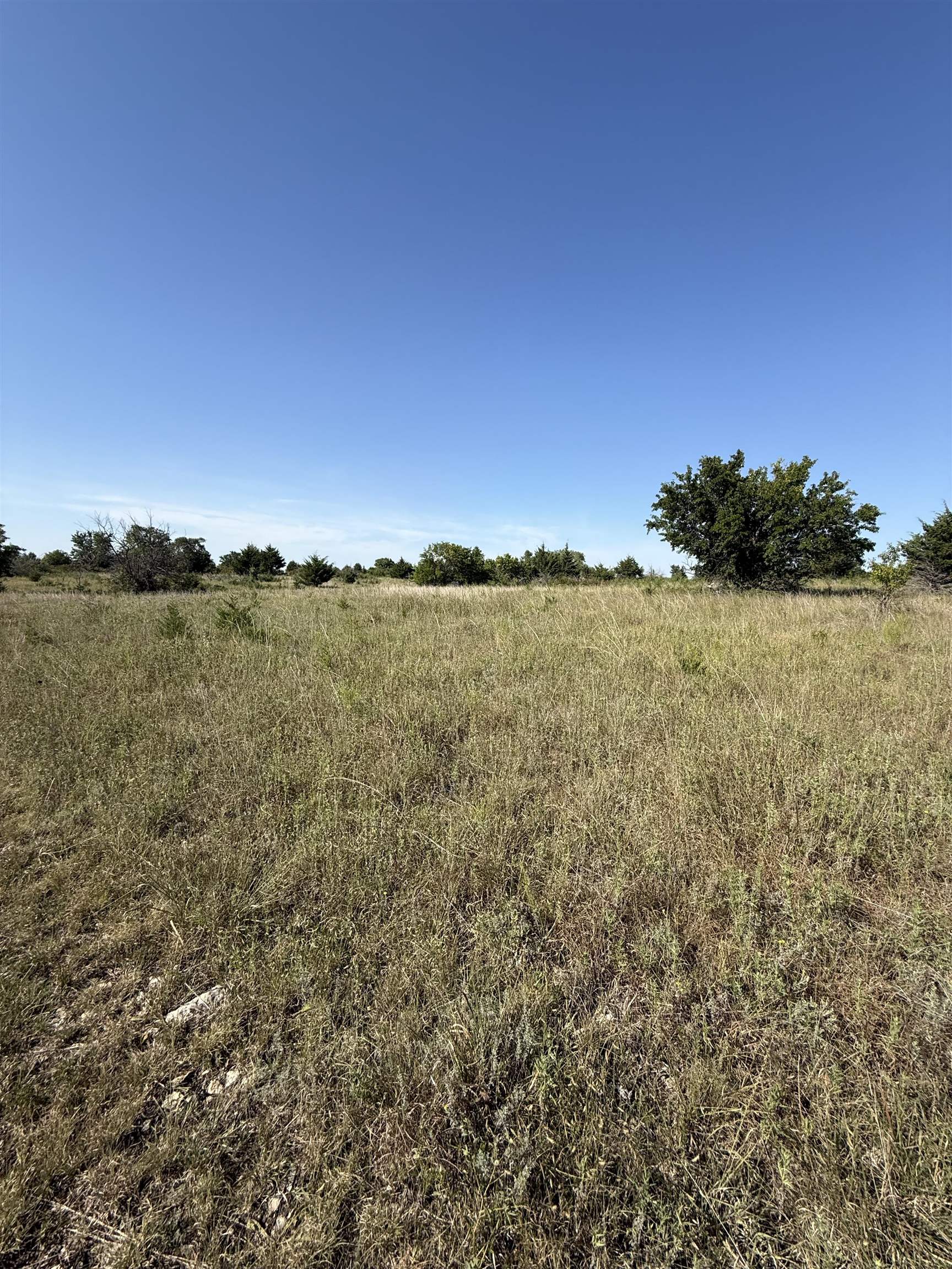 0 Sw Purity Springs Rd. Property Photo 7