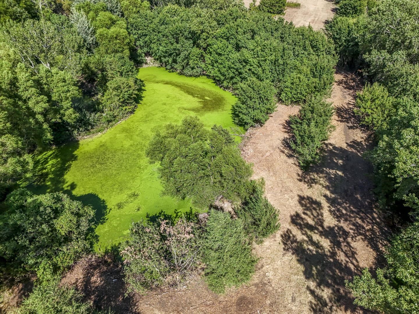 22.8+/- Acres S 231st St. W. & 63rd St. Property Photo 17