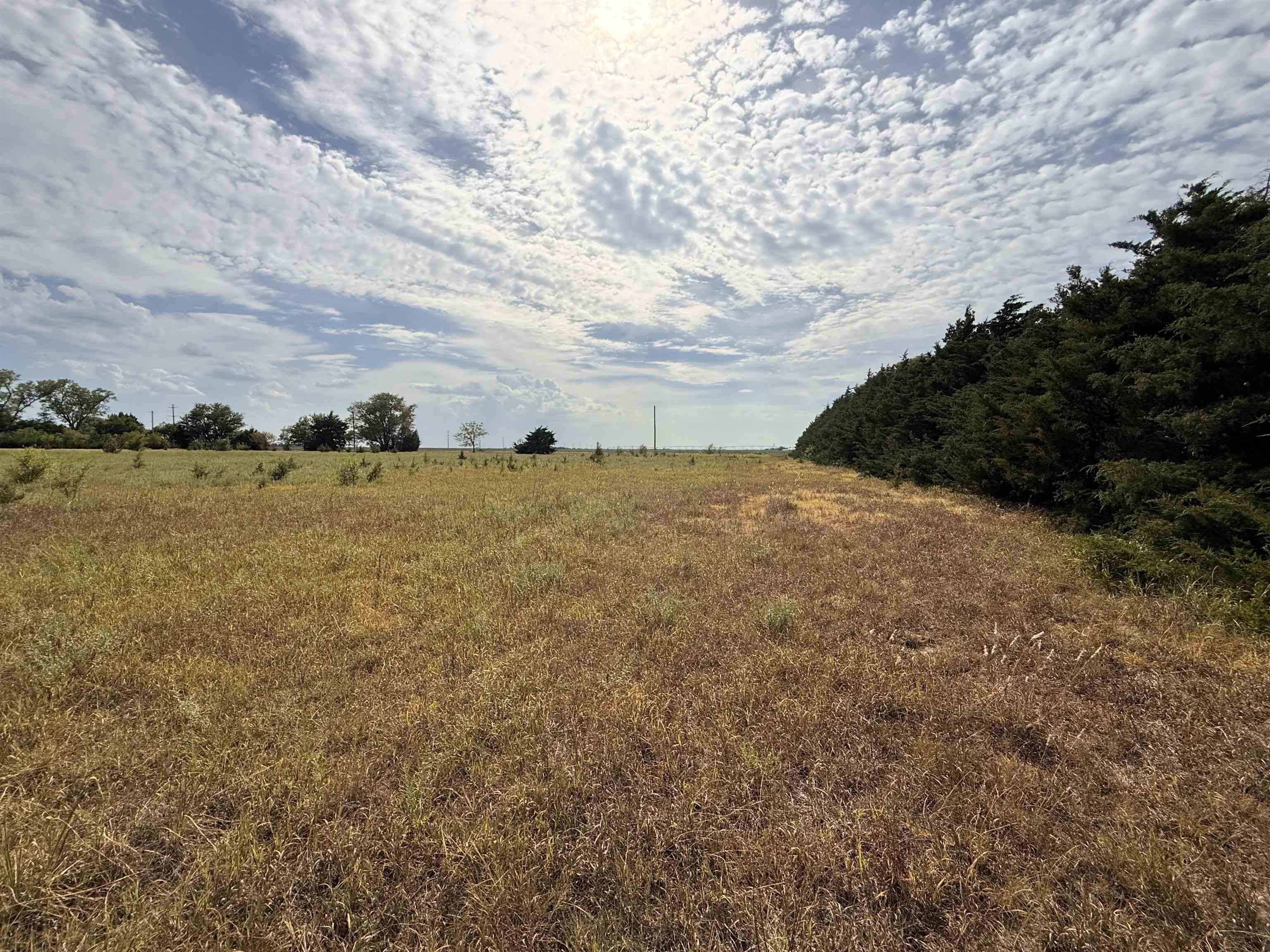 8232 N Prairie Lake Rd Property Photo 31