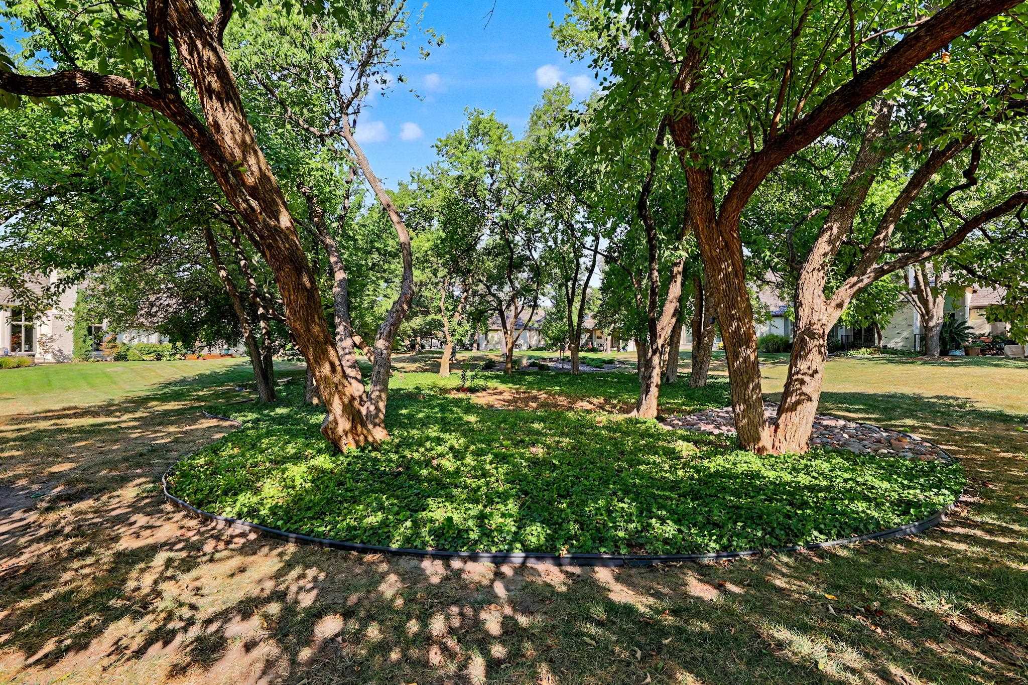 9130 E Woodspring St Property Photo 24