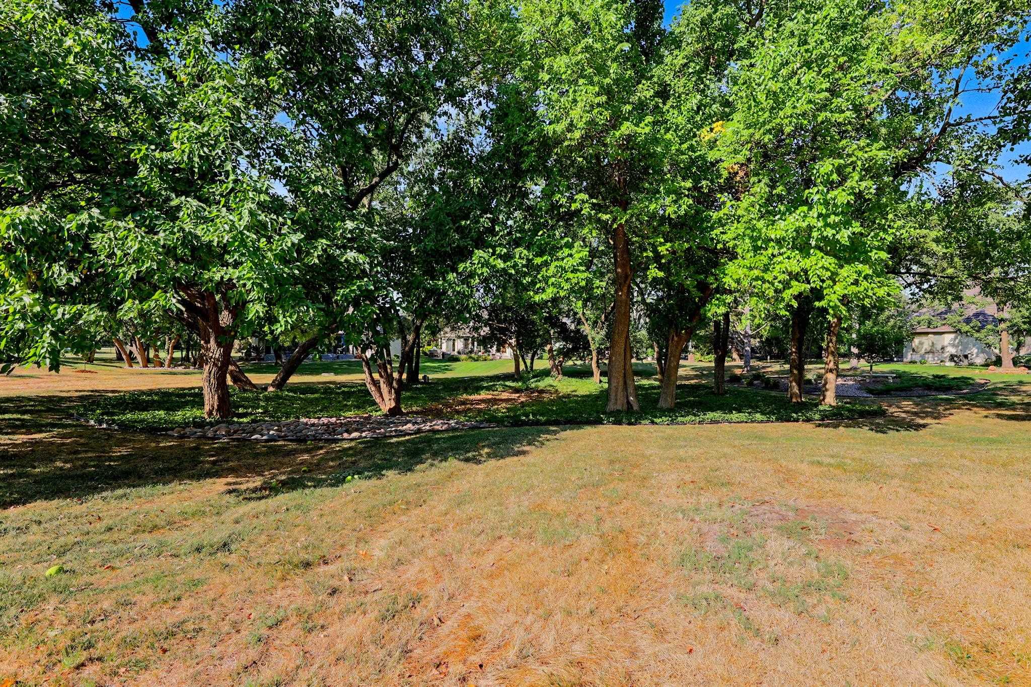 9130 E Woodspring St Property Photo 26