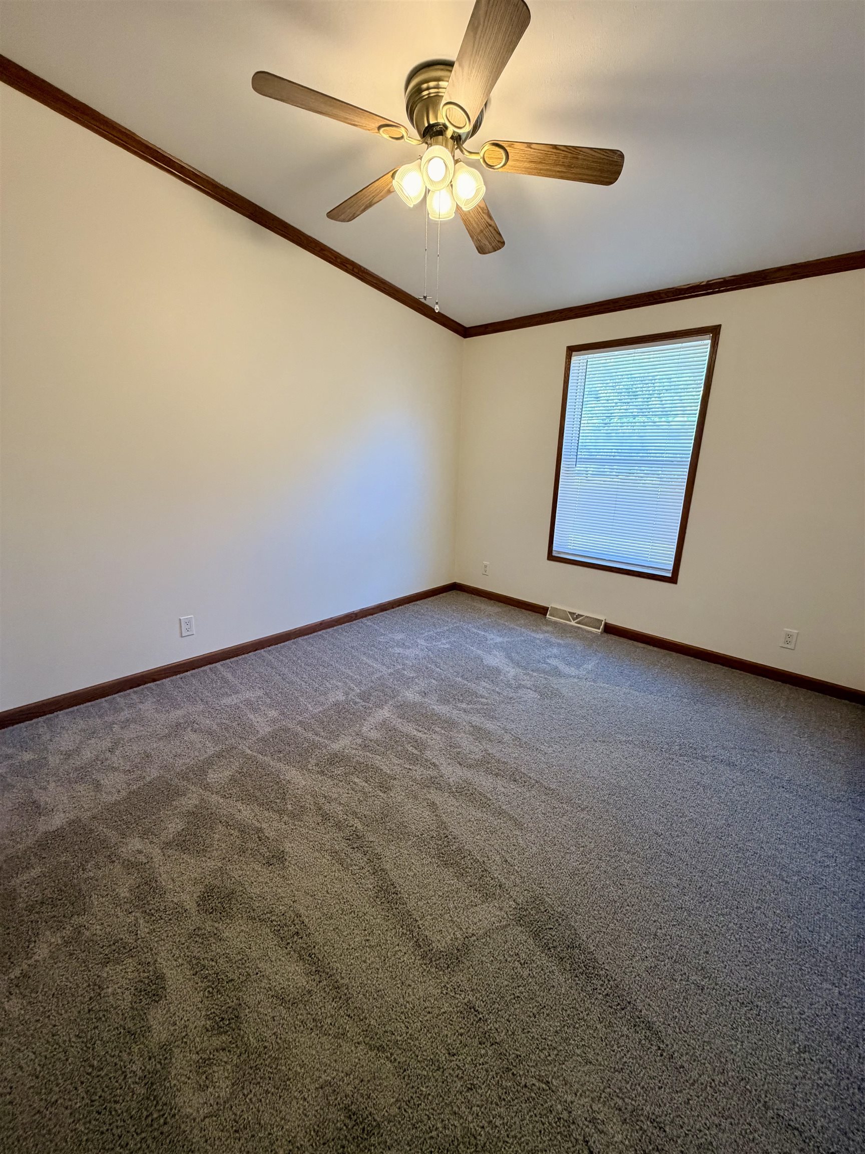 915 W Cedar Property Photo 20