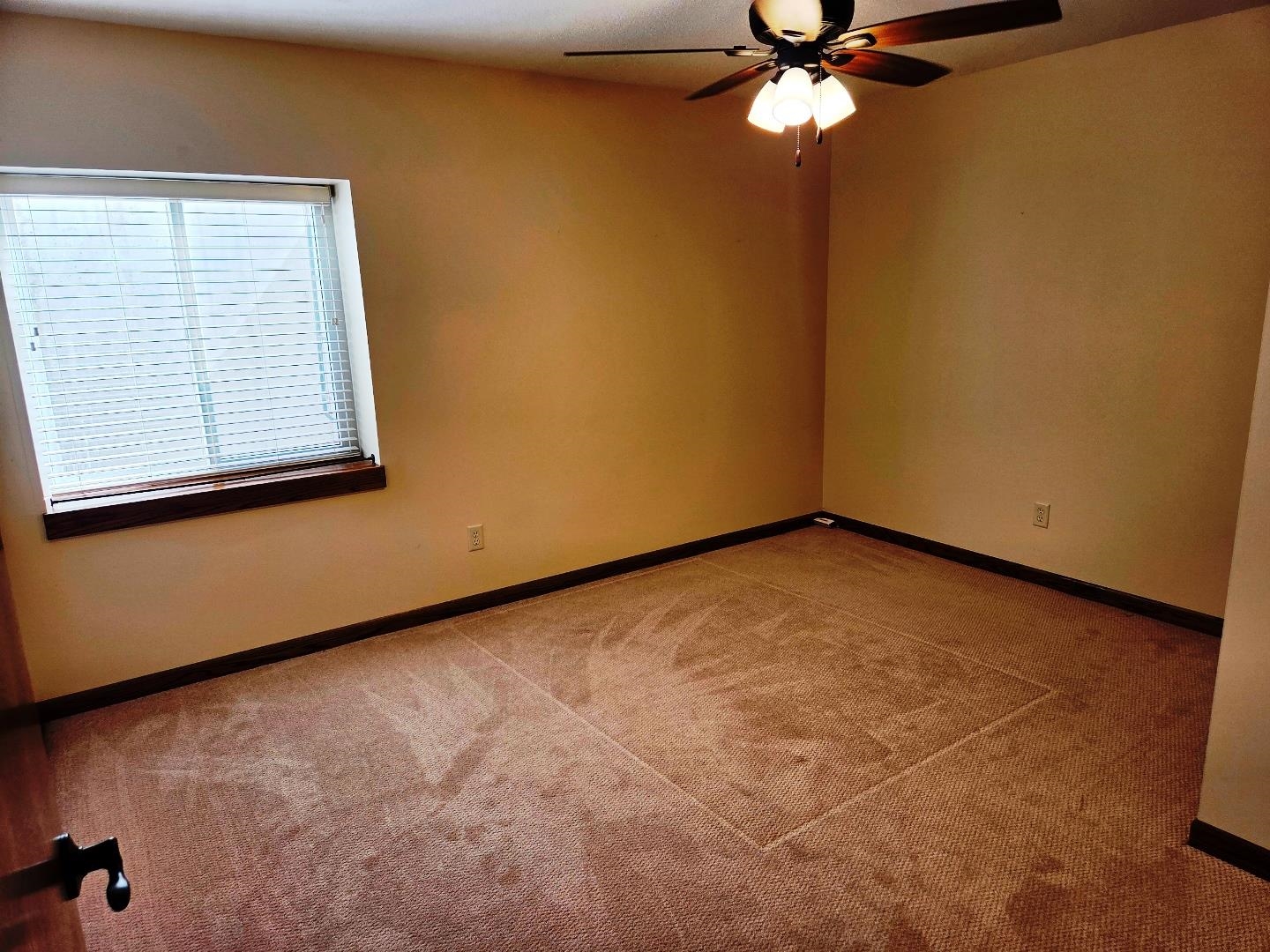 2908 Sumac St Property Photo 18