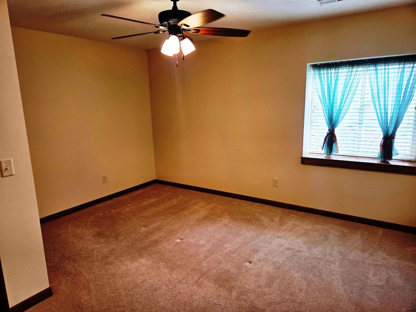 2908 Sumac St Property Photo 20