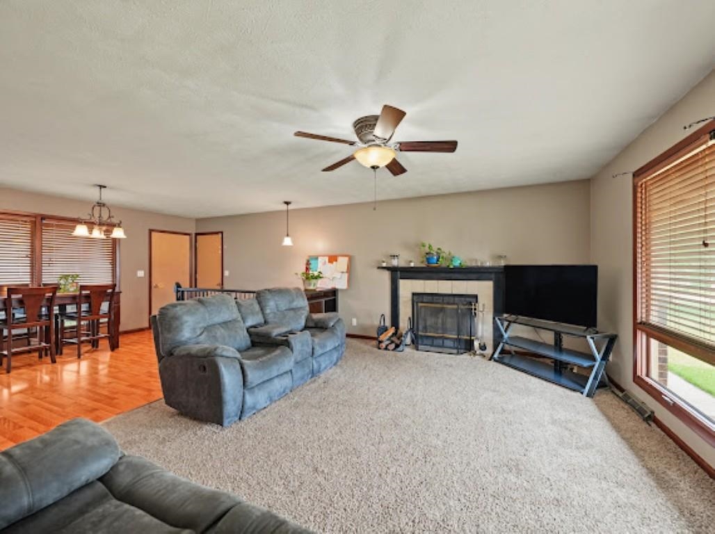 738 Mike Dr. Property Photo 3