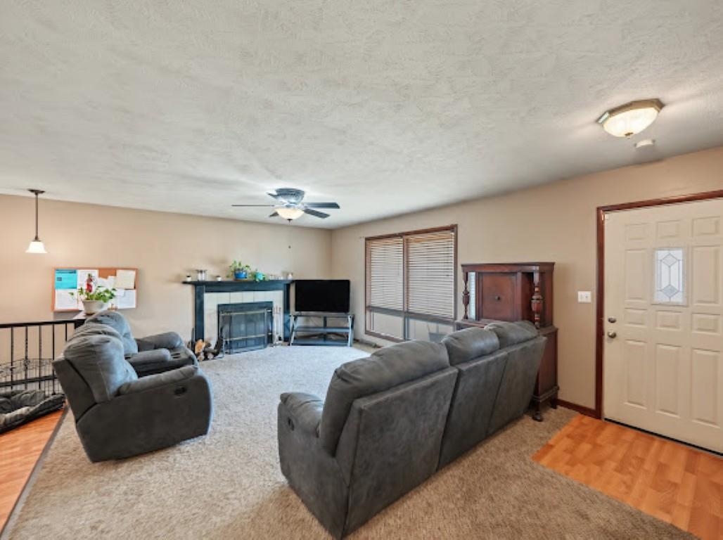 738 Mike Dr. Property Photo 5