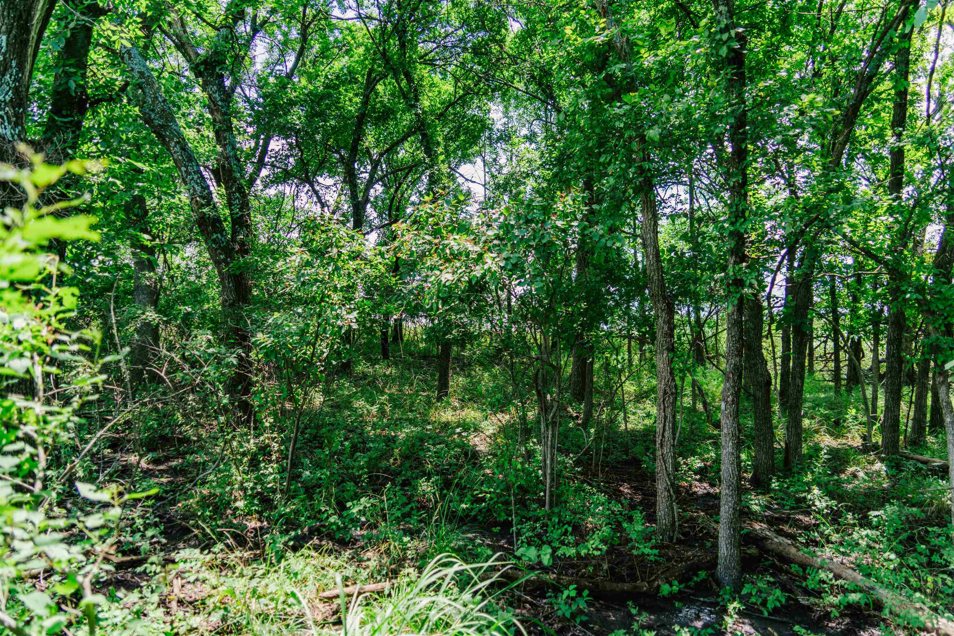 0 Rr Rd Property Photo 16