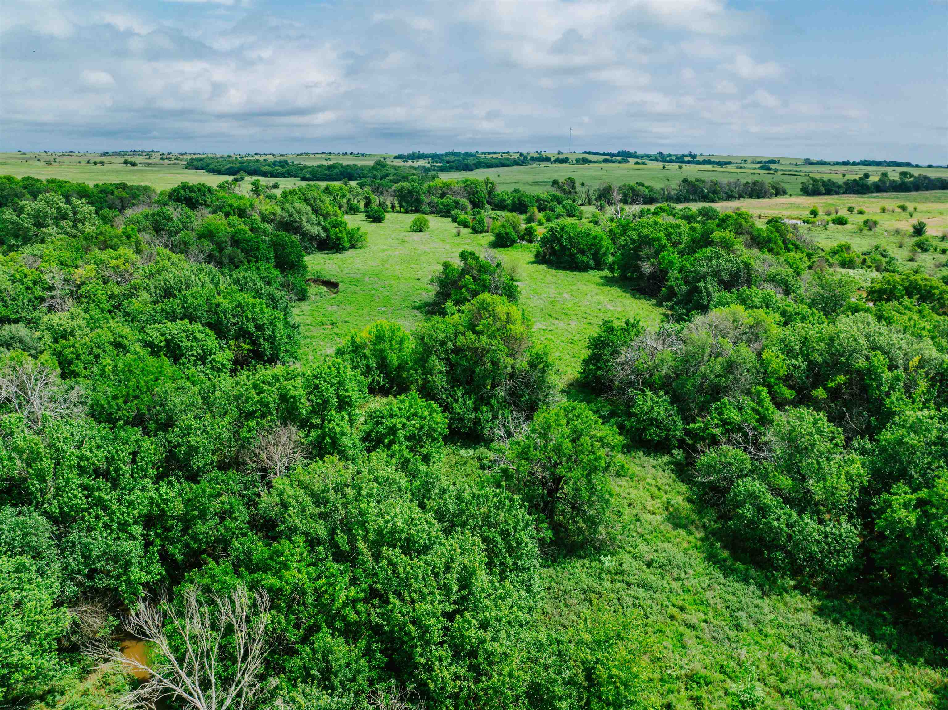 0 Blackjack Property Photo 15