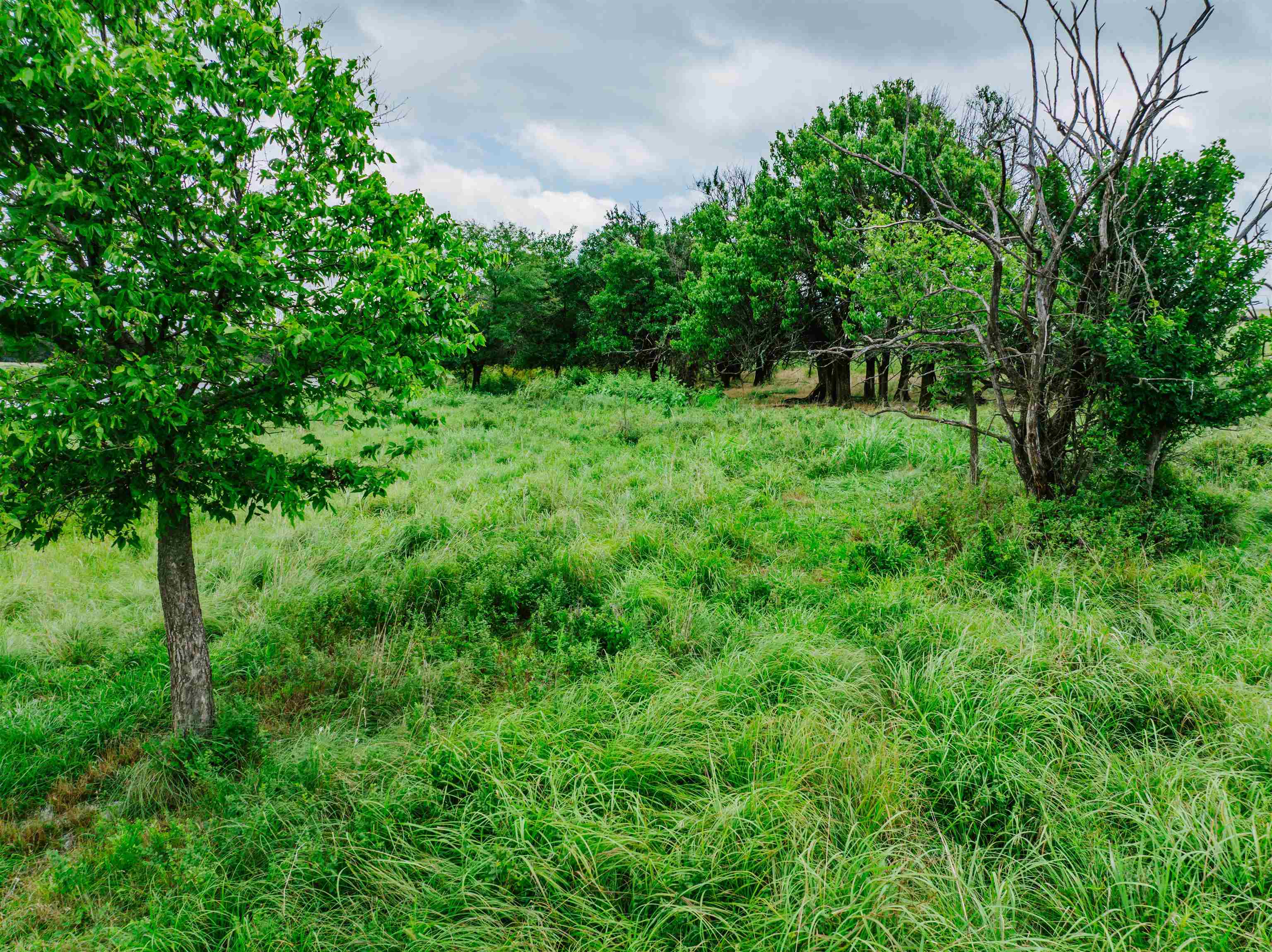 0 Angus Property Photo 7