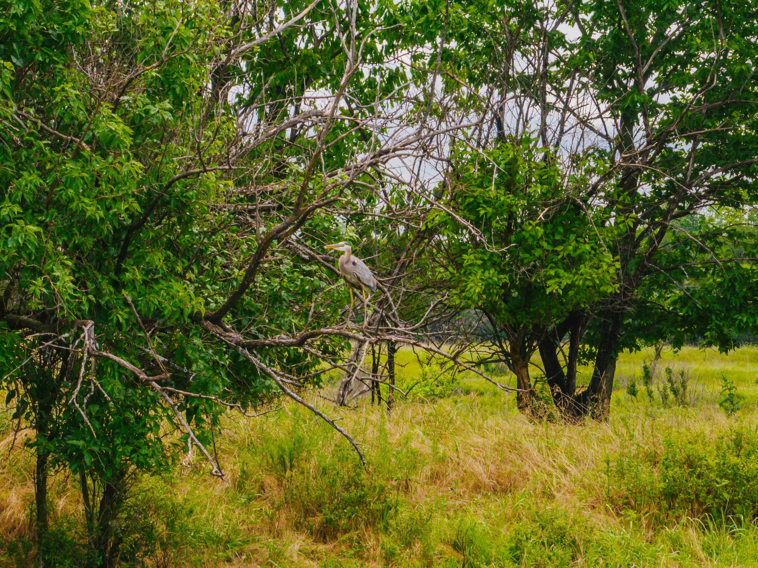 0 Angus Property Photo 12