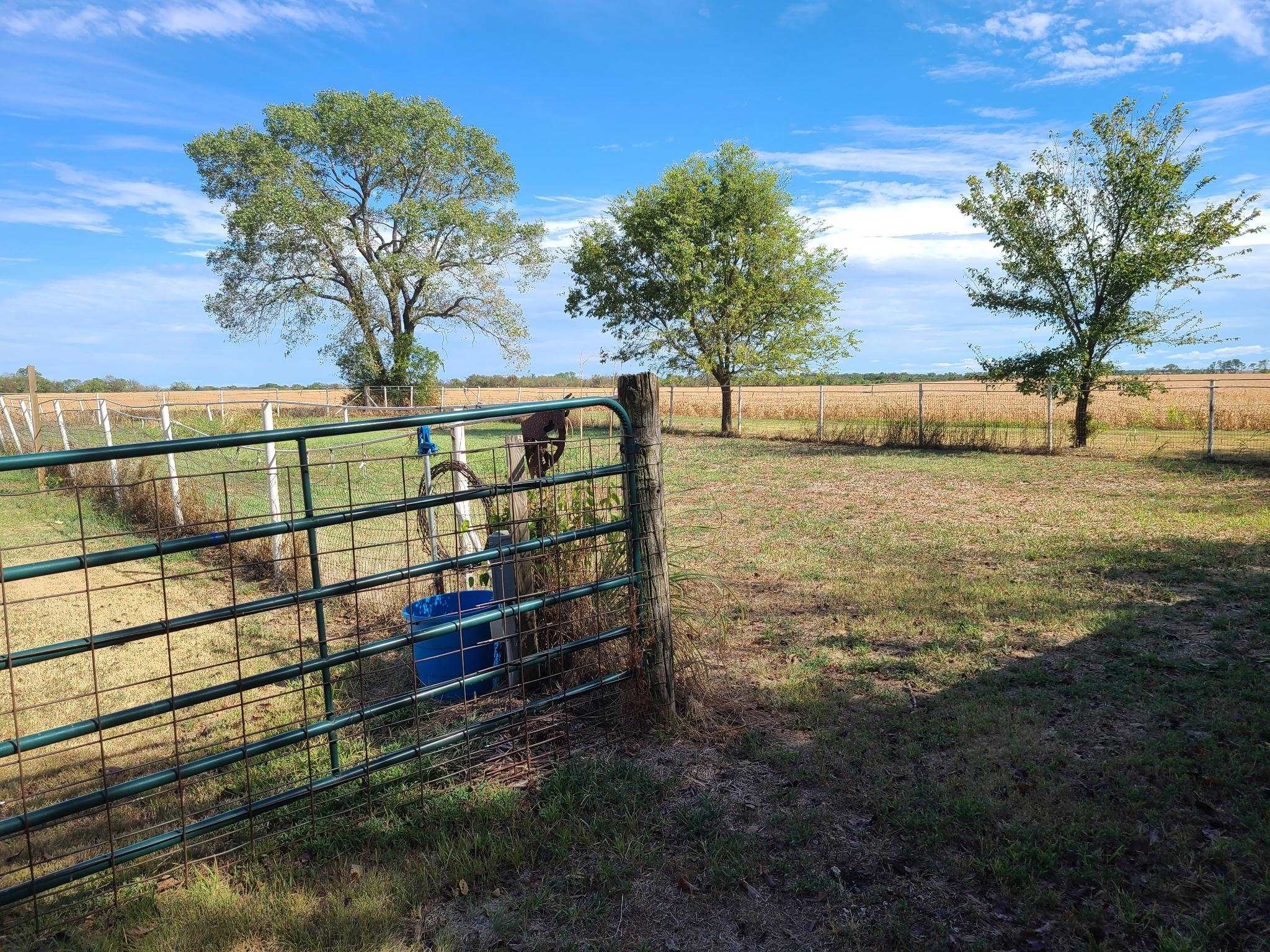 11058 161st Property Photo 26