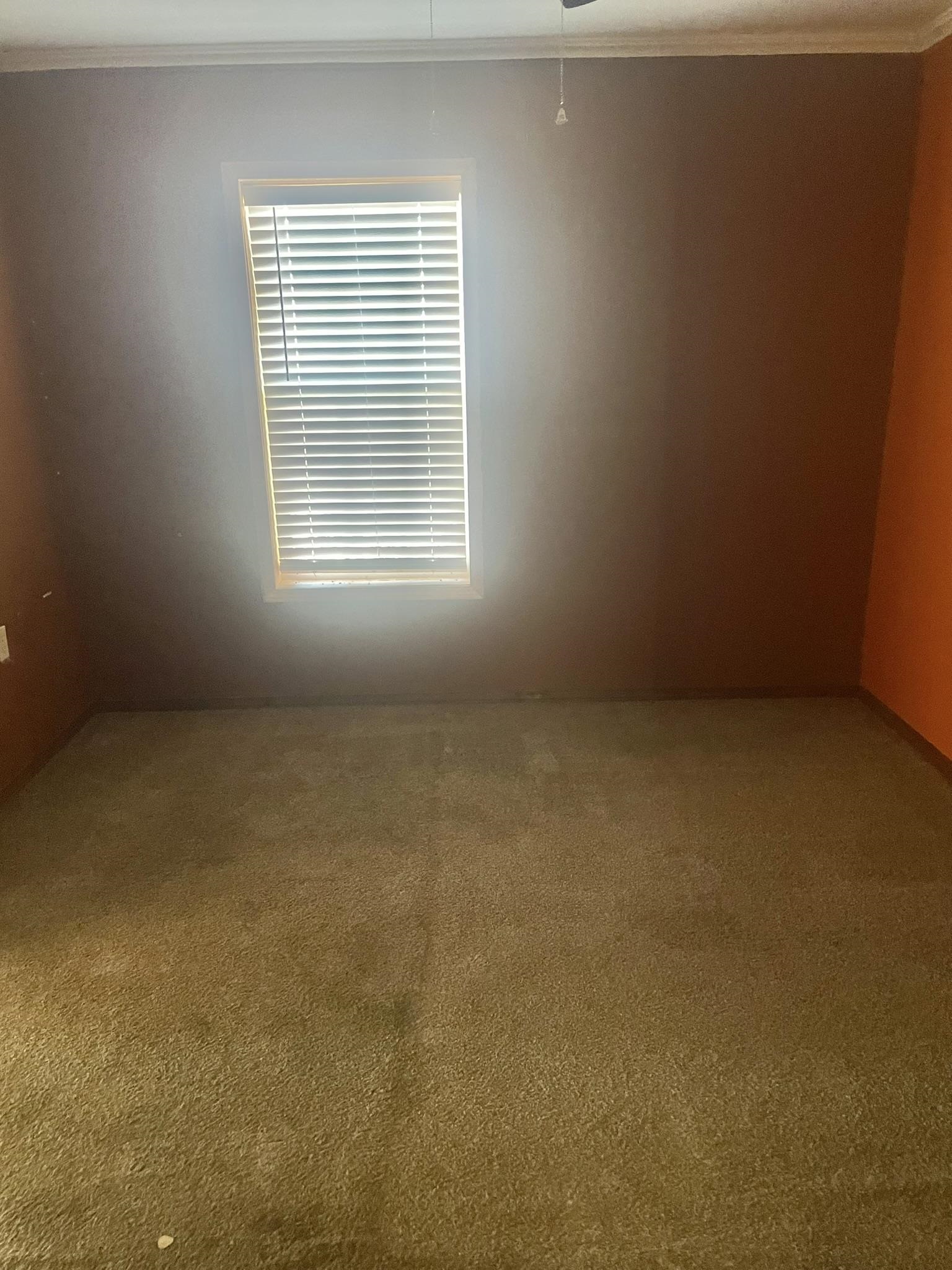 1107 Main Property Photo 12