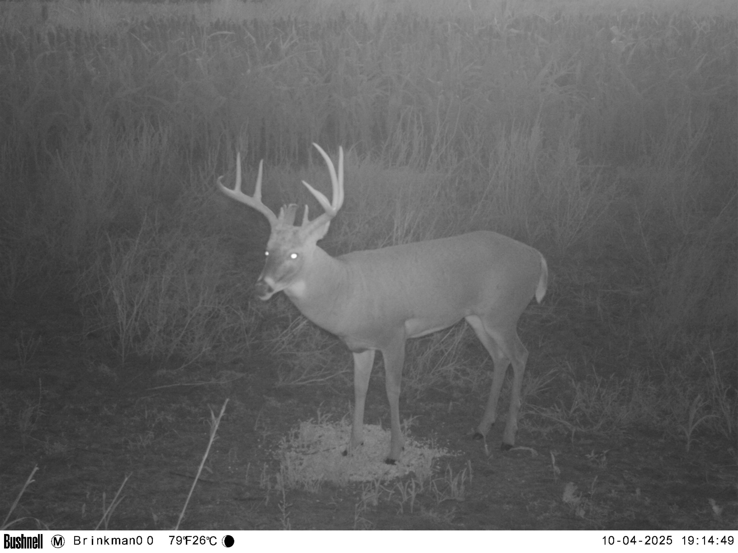 00000 Flag Rd Property Photo 5